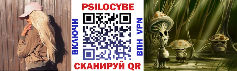 omg вход  где продают наркотики  Мостовской  Галлюциногенные грибы мицелий 
