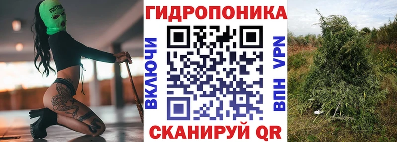 Канабис White Widow  Мостовской 